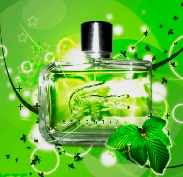 lociones arabes para mujer - Image 7