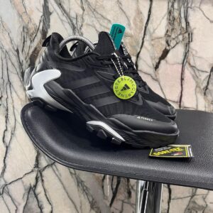 adidas terrex men shoes