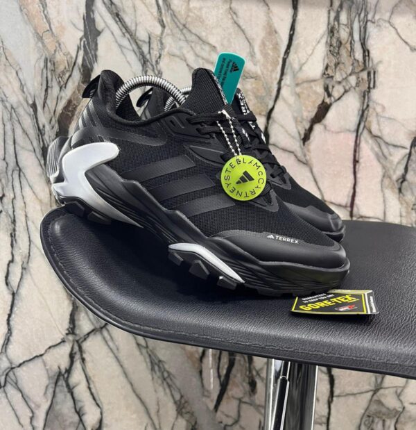 adidas terrex men shoes